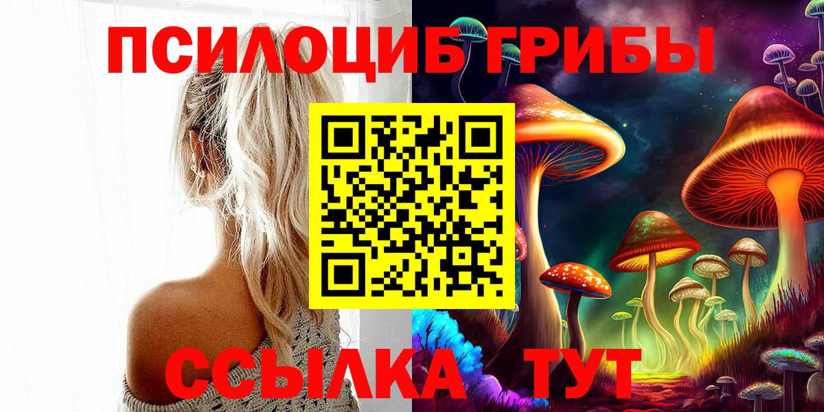 Ефремов  Псилоцибиновые грибы мицелий  Вход с VPN 