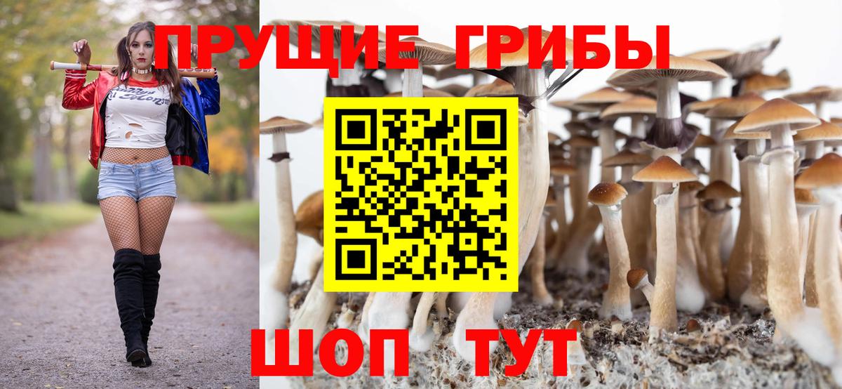 Псилоцибиновые грибы Cubensis Ефремов